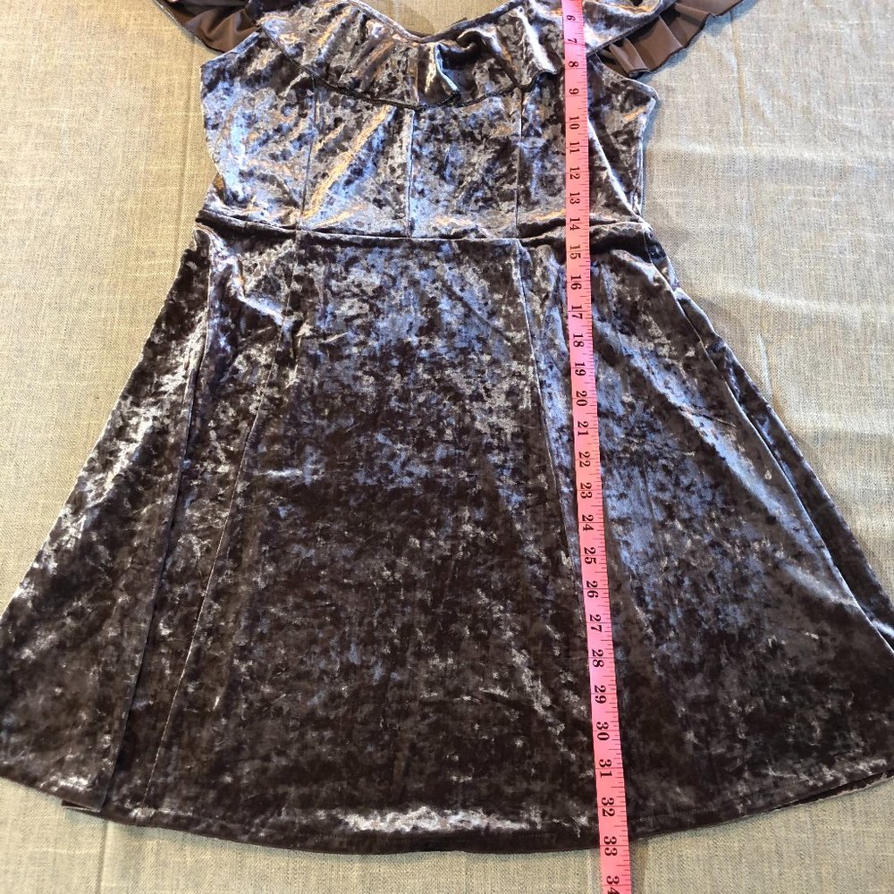 American Eagle Crushed Velvet Dress - Picture 5 of 9